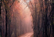 中国U22战平越南U22,收获四国赛冠军!.