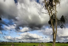 满冠体育官网:西媒:巴萨打入国王杯决赛至少已获166万欧,若夺冠还能拿20万欧.