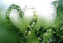 满冠体育官网:泰厄斯-琼斯:伊戈达罗球商很高学习能力强 对于新秀而言不常见.