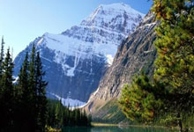 满冠体育官网:基翁:阿森纳可能已经签下了一名新前锋;要引进伊萨克很困难.